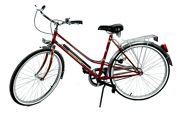 Dame 650 Velo chez INDUSTRIA